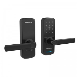 T1 –  Smart Door Lock