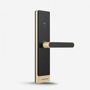 OEM CE Certification Electronic Locking System In Hotels Manufacturers -
 HT-123/HT-223 Digital Lock/Smart Lock/Hotel Lock Model Series – KEYPLUS