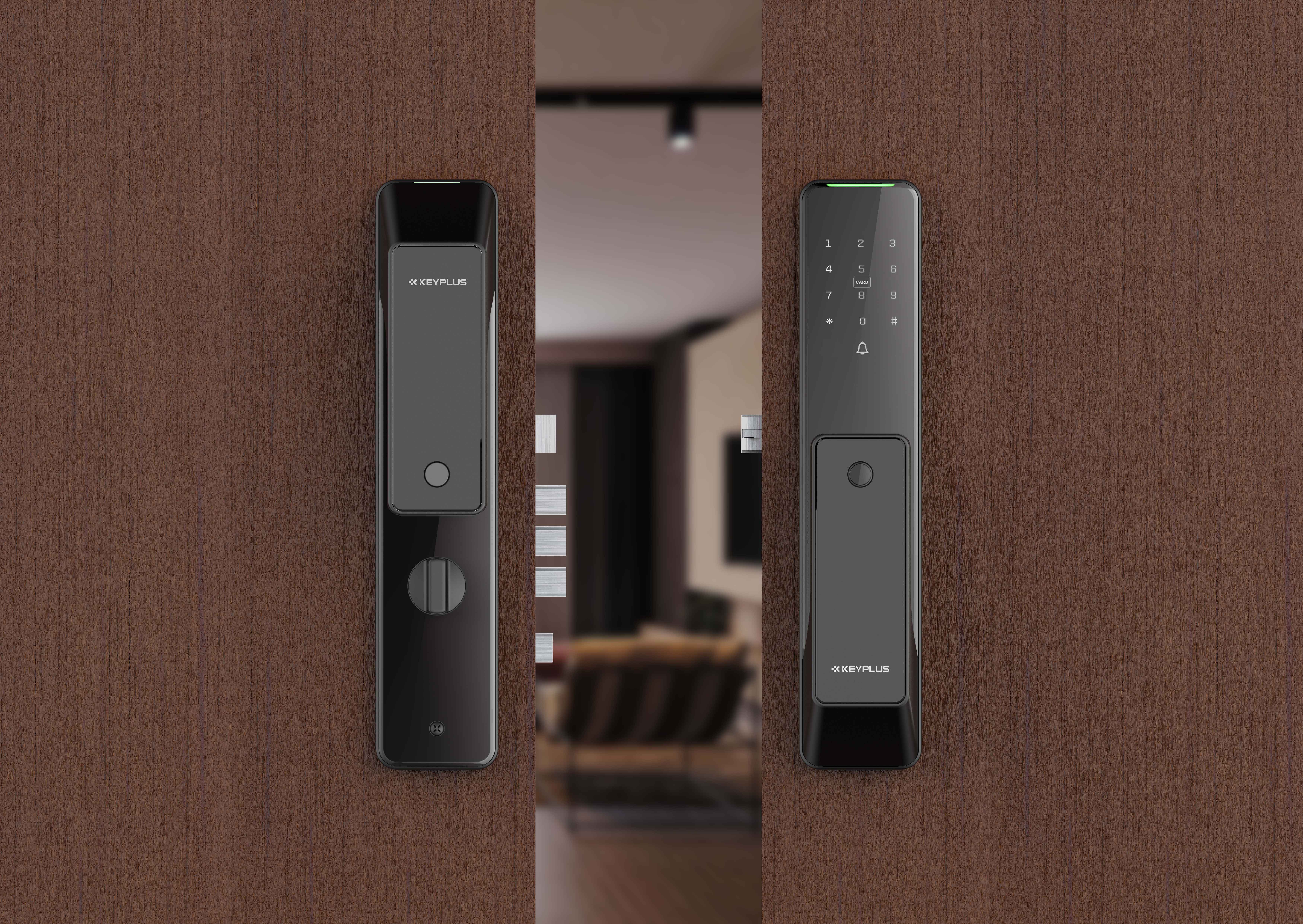 PUSH-PULL Automatic Biometric Fingerprint Digital App Controlled Smart Lock  (2)